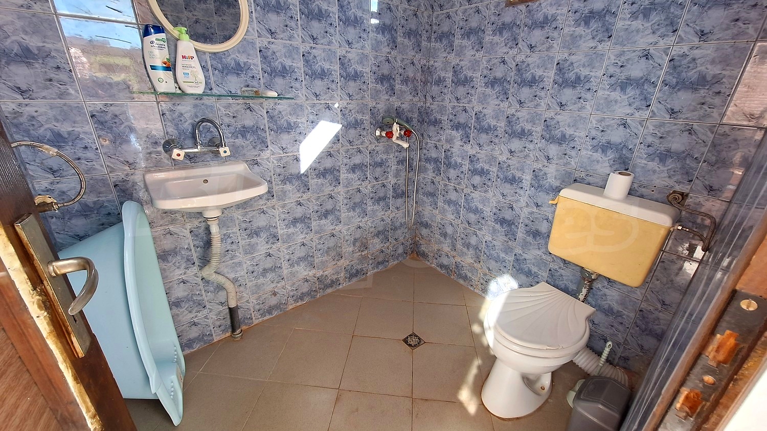 Gallery Picture 15