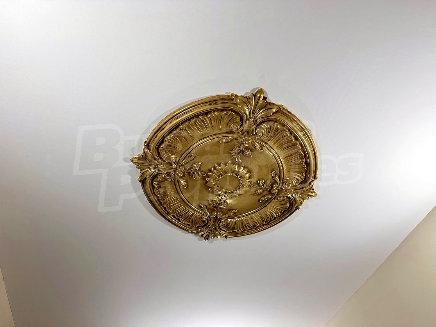 Gallery Picture 53