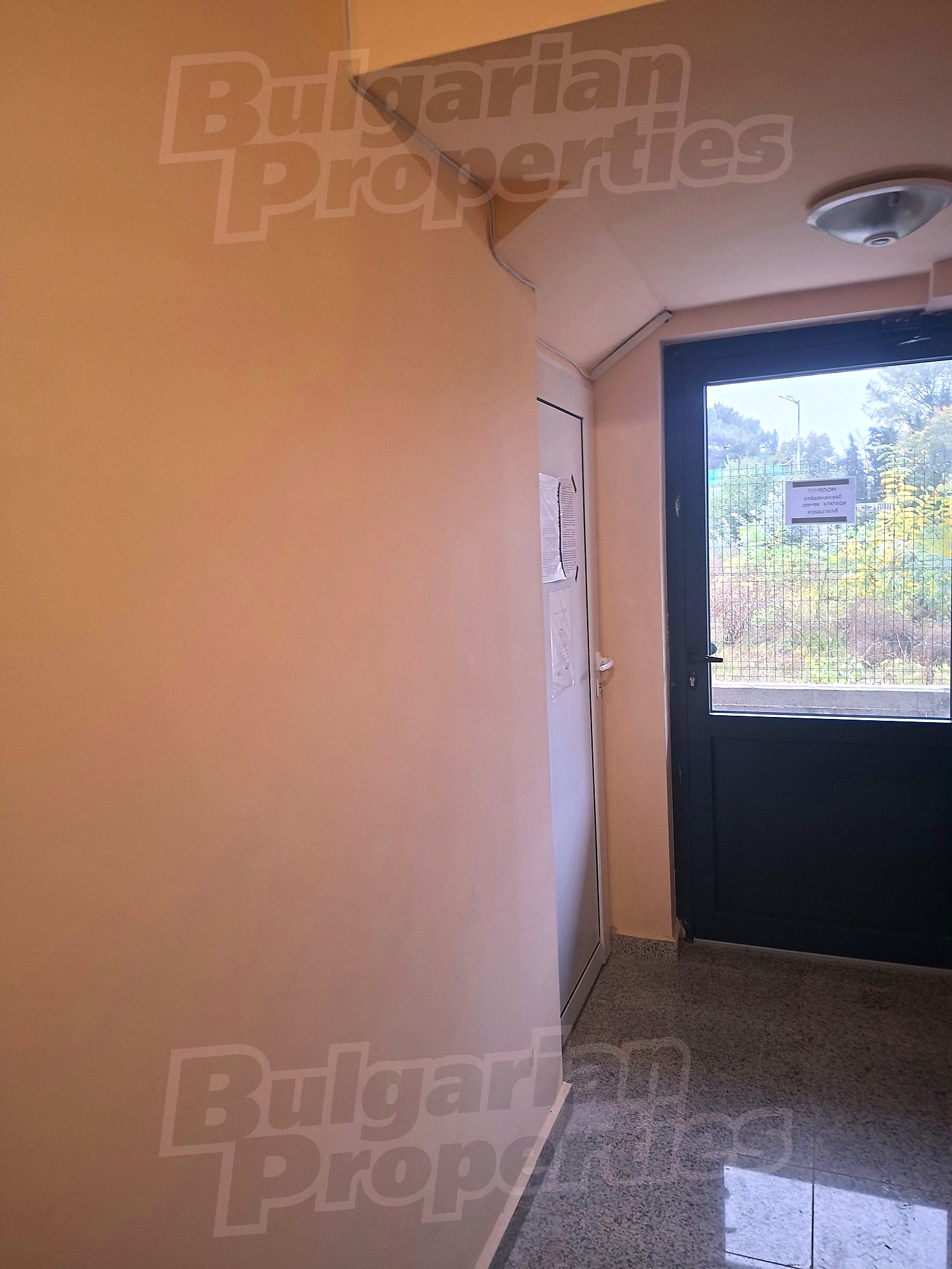 Gallery Picture 35