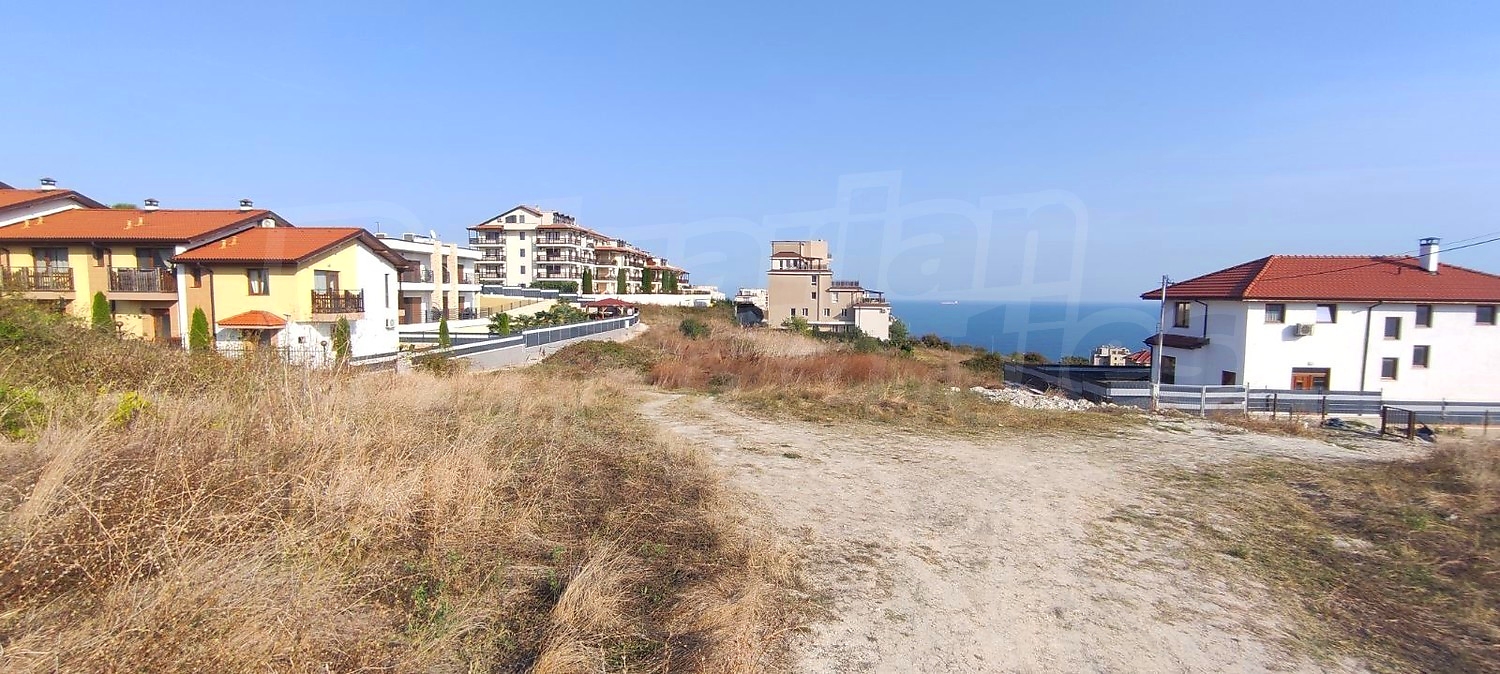 Gallery Picture 11