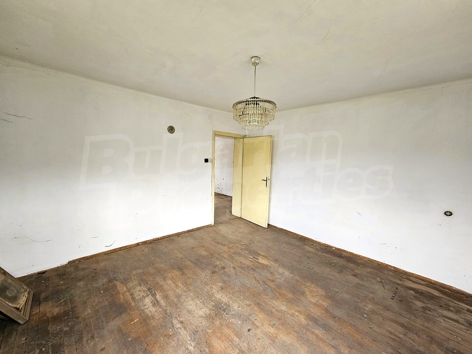 Gallery Picture 14