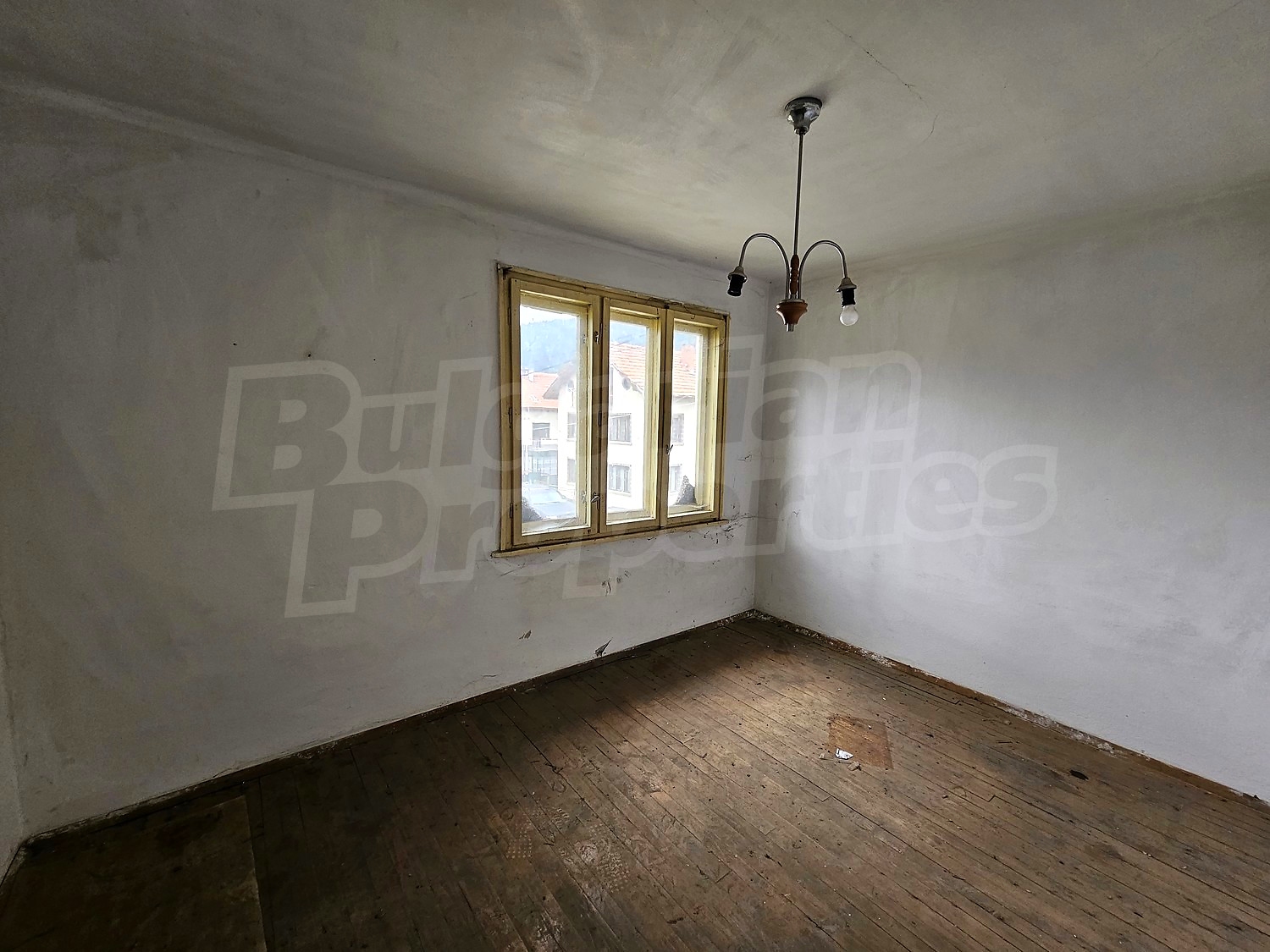 Gallery Picture 23