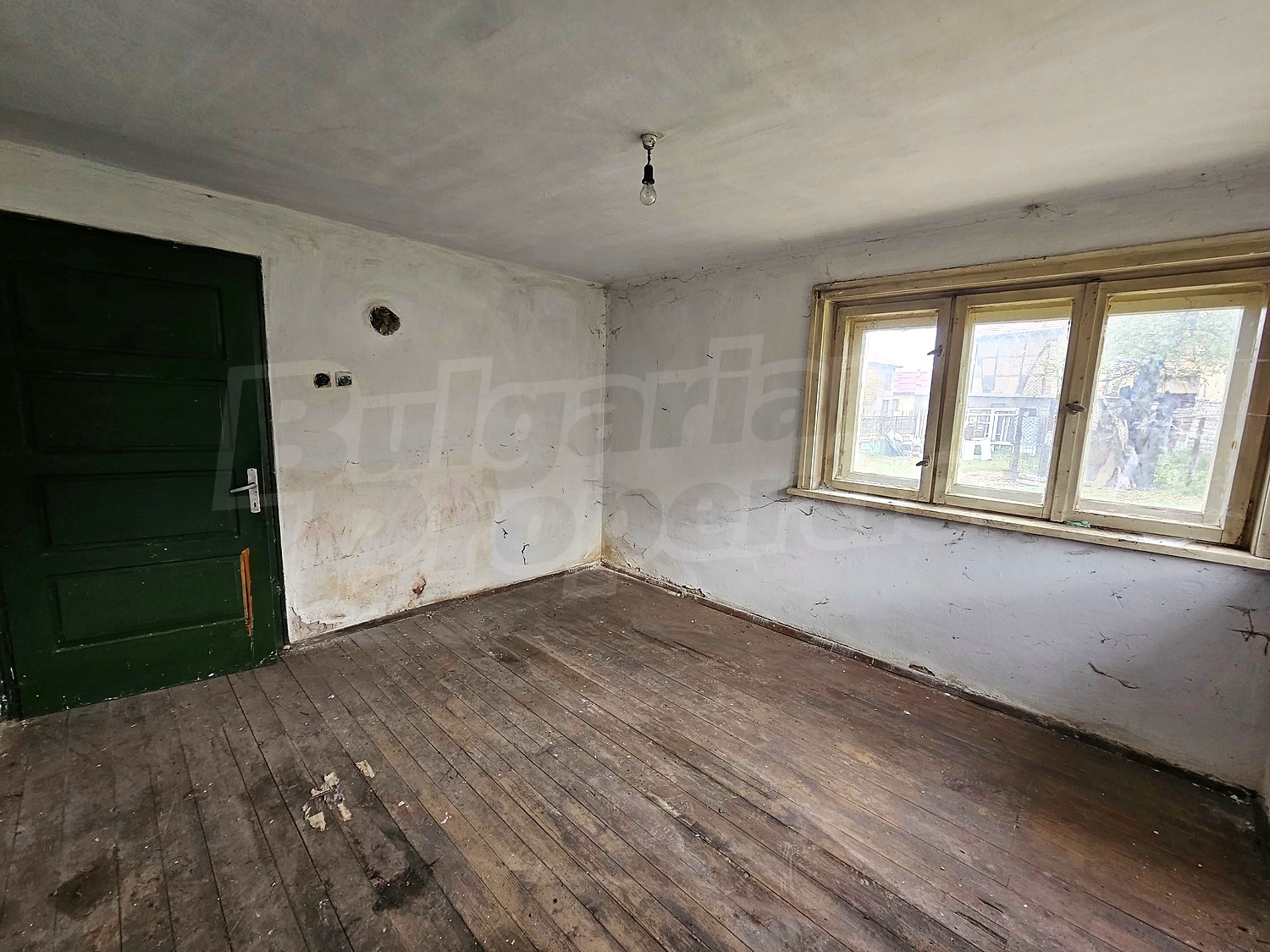 Gallery Picture 32
