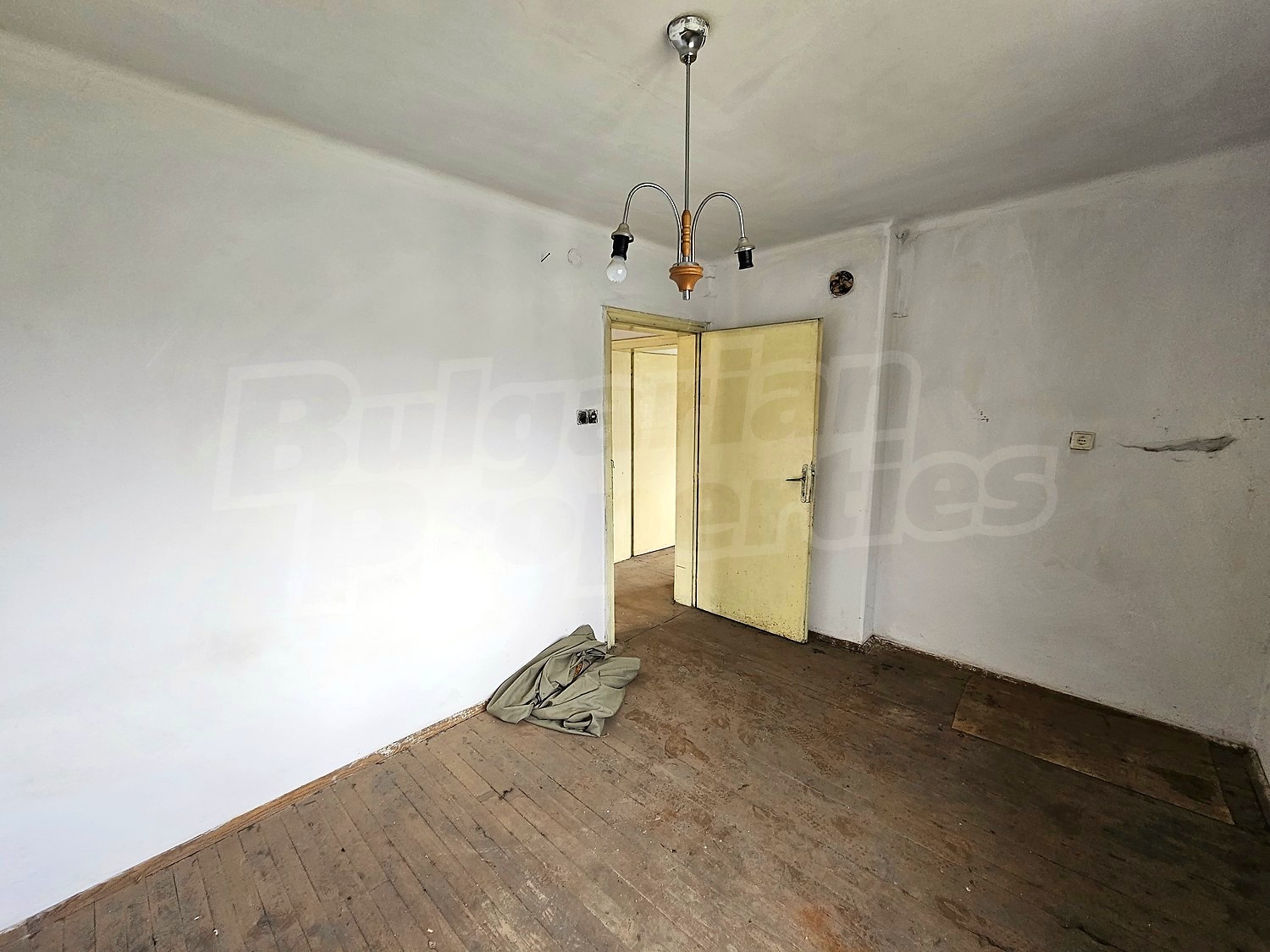 Gallery Picture 26