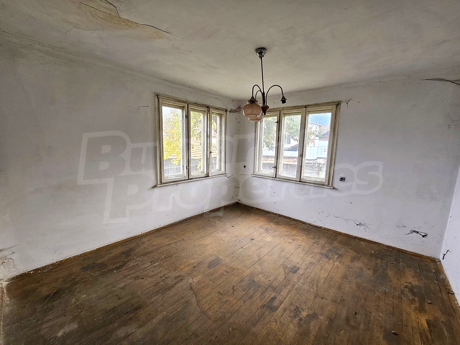 Gallery Picture 19