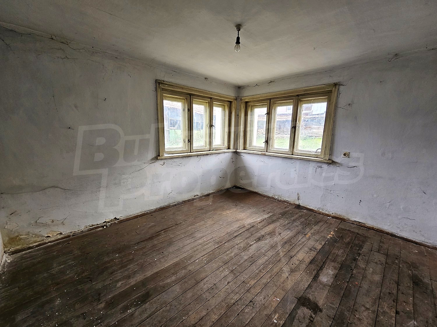 Gallery Picture 31