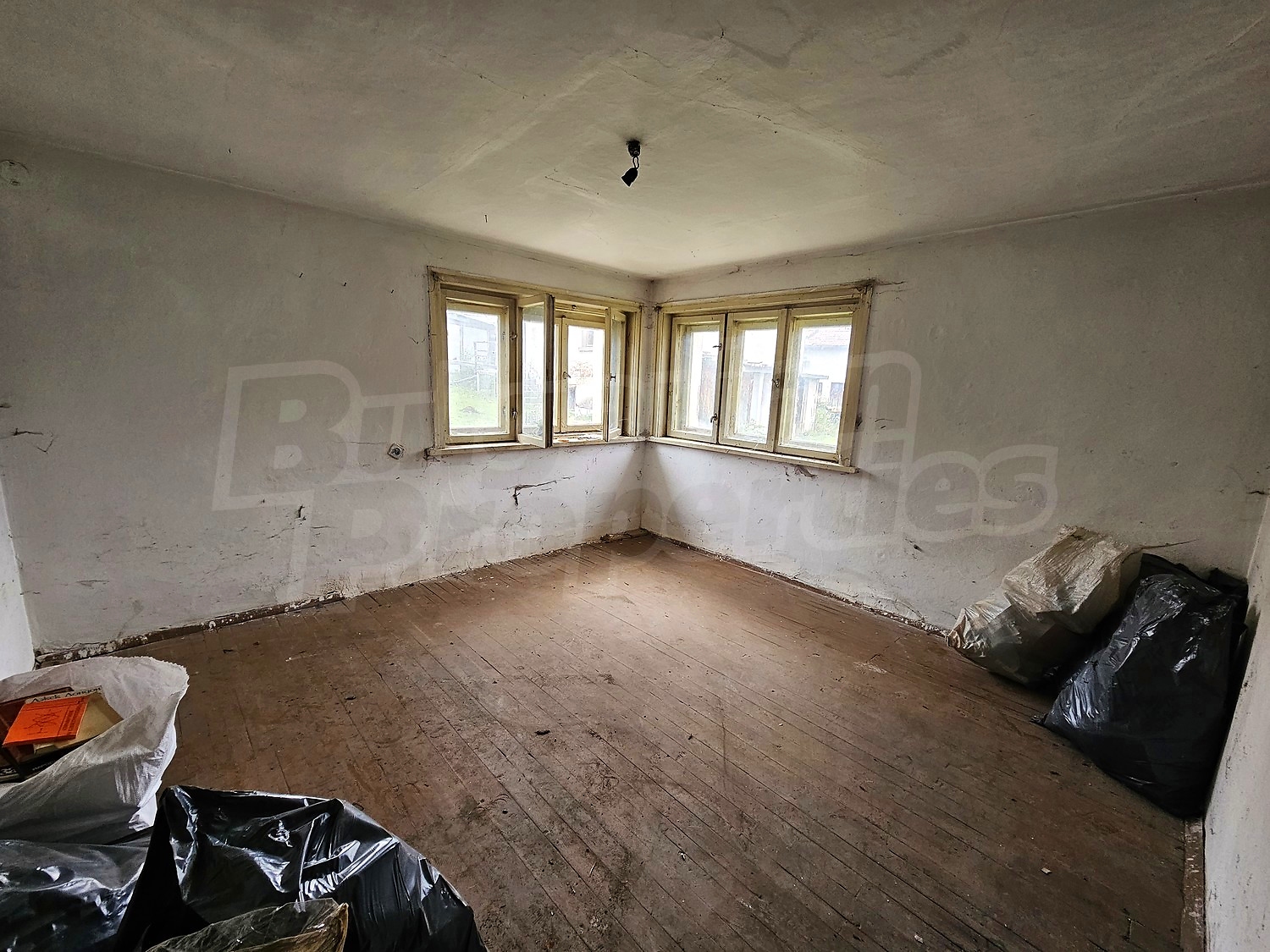 Gallery Picture 34