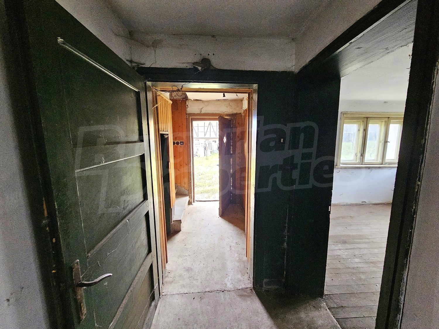 Gallery Picture 45