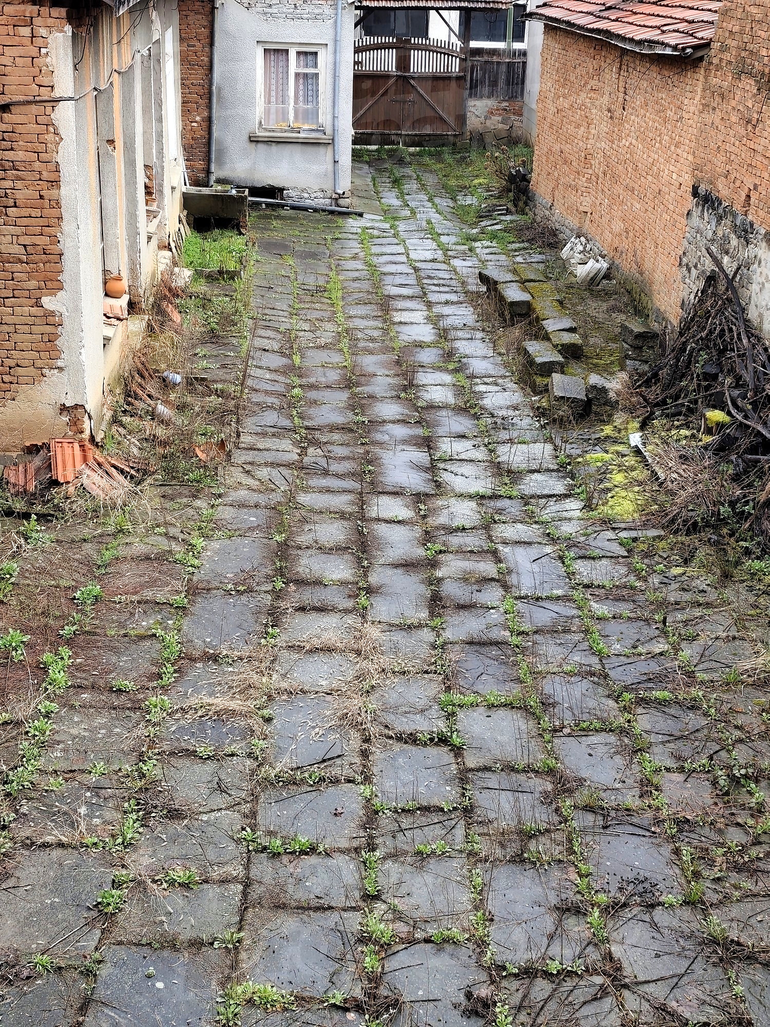 Gallery Picture 77