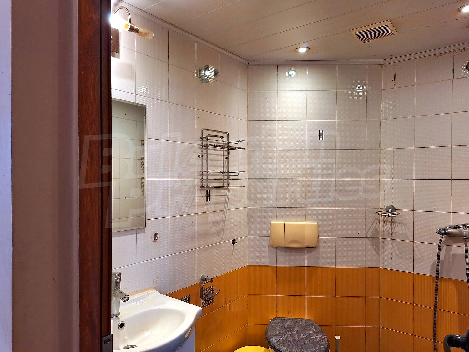 Gallery Picture 39