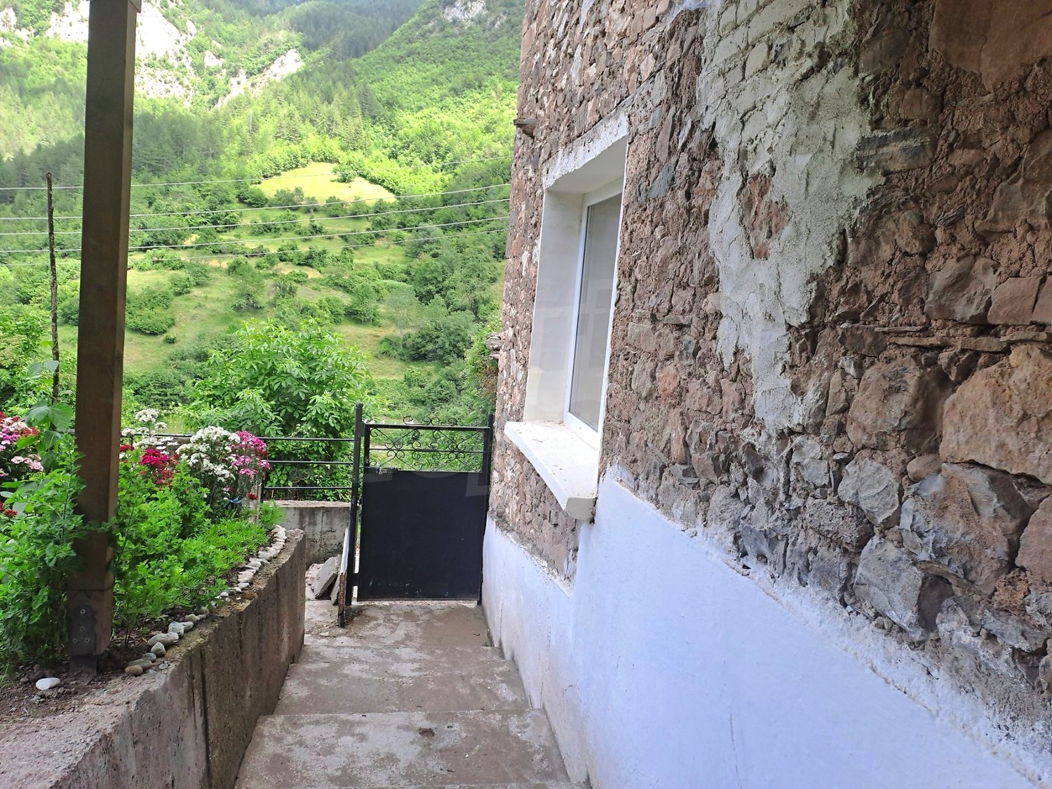 Gallery Picture 10