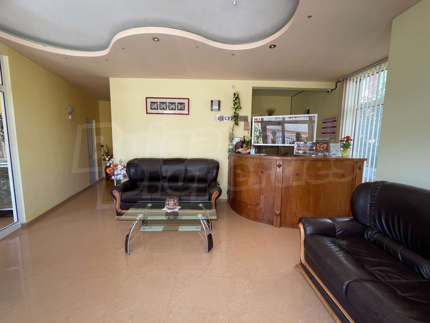 Gallery Picture 11