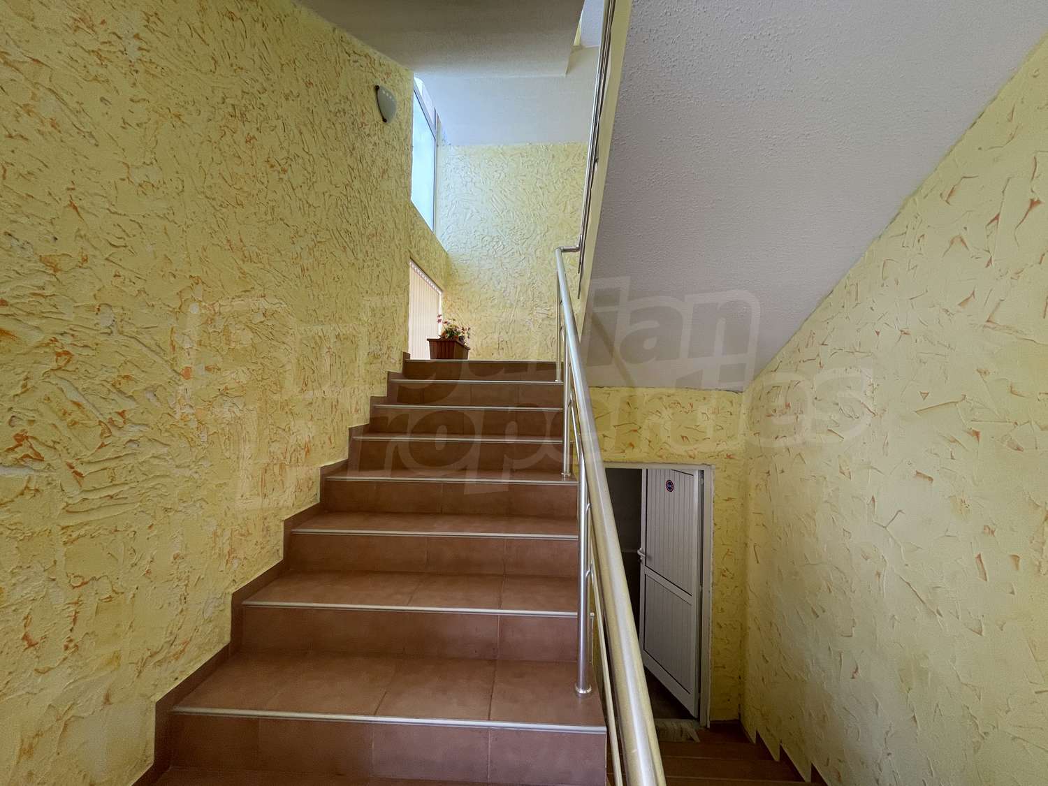 Gallery Picture 13