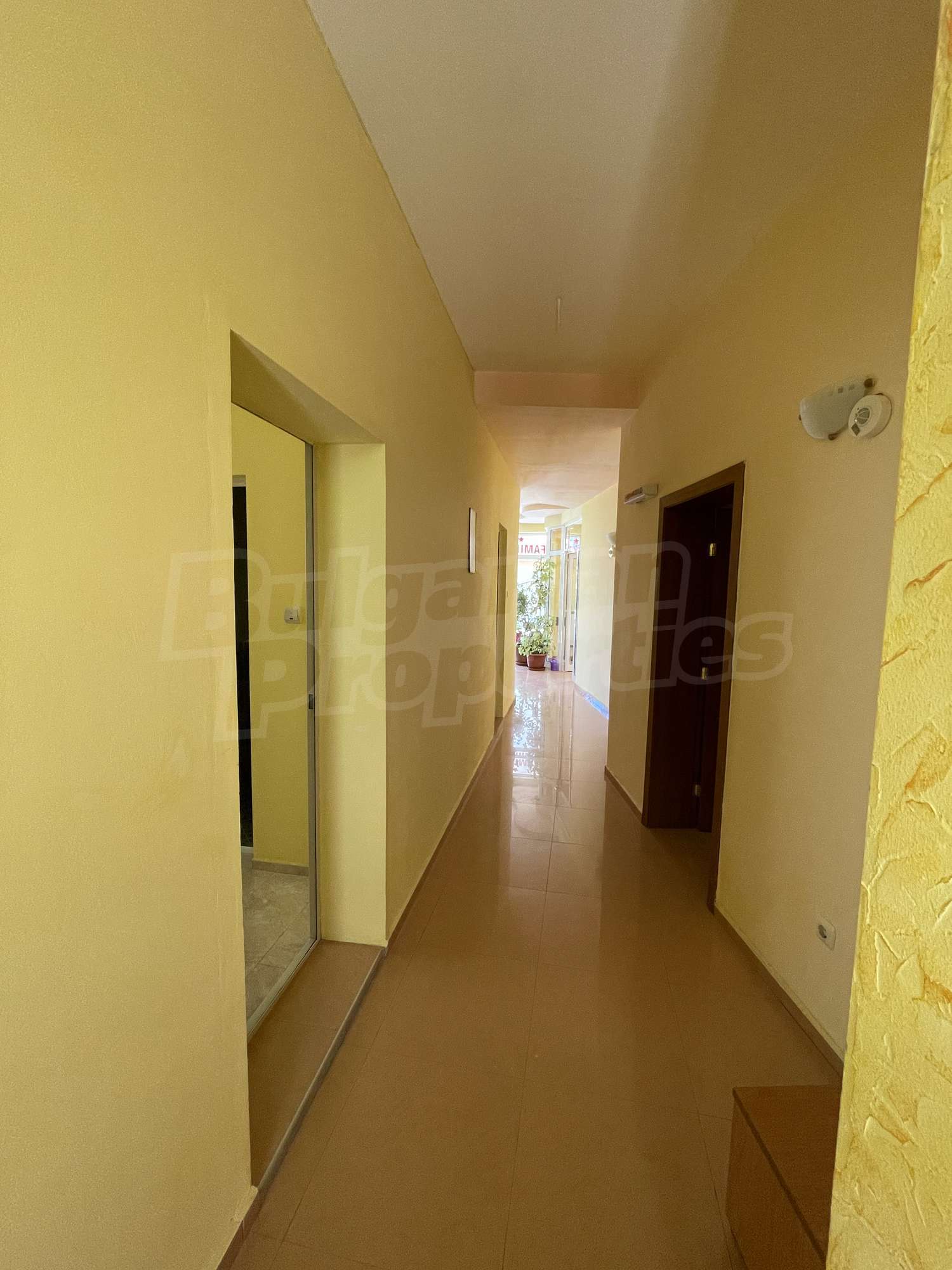 Gallery Picture 44