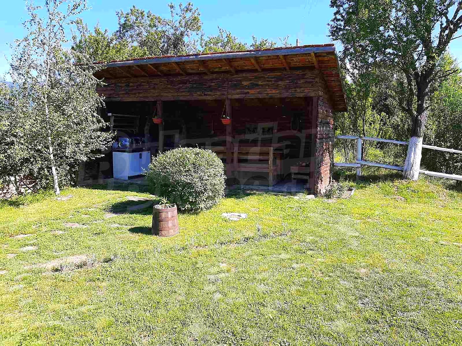 Gallery Picture 41
