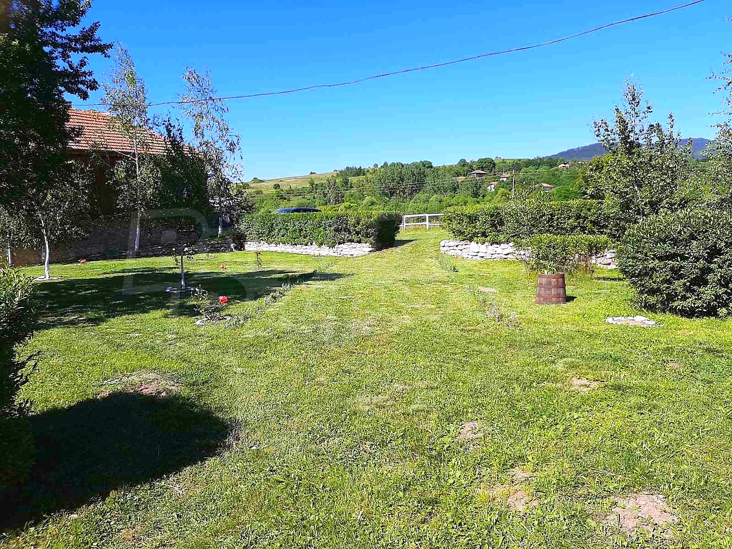 Gallery Picture 45