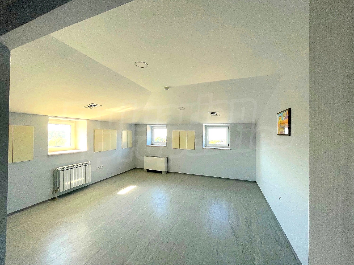 Gallery Picture 17