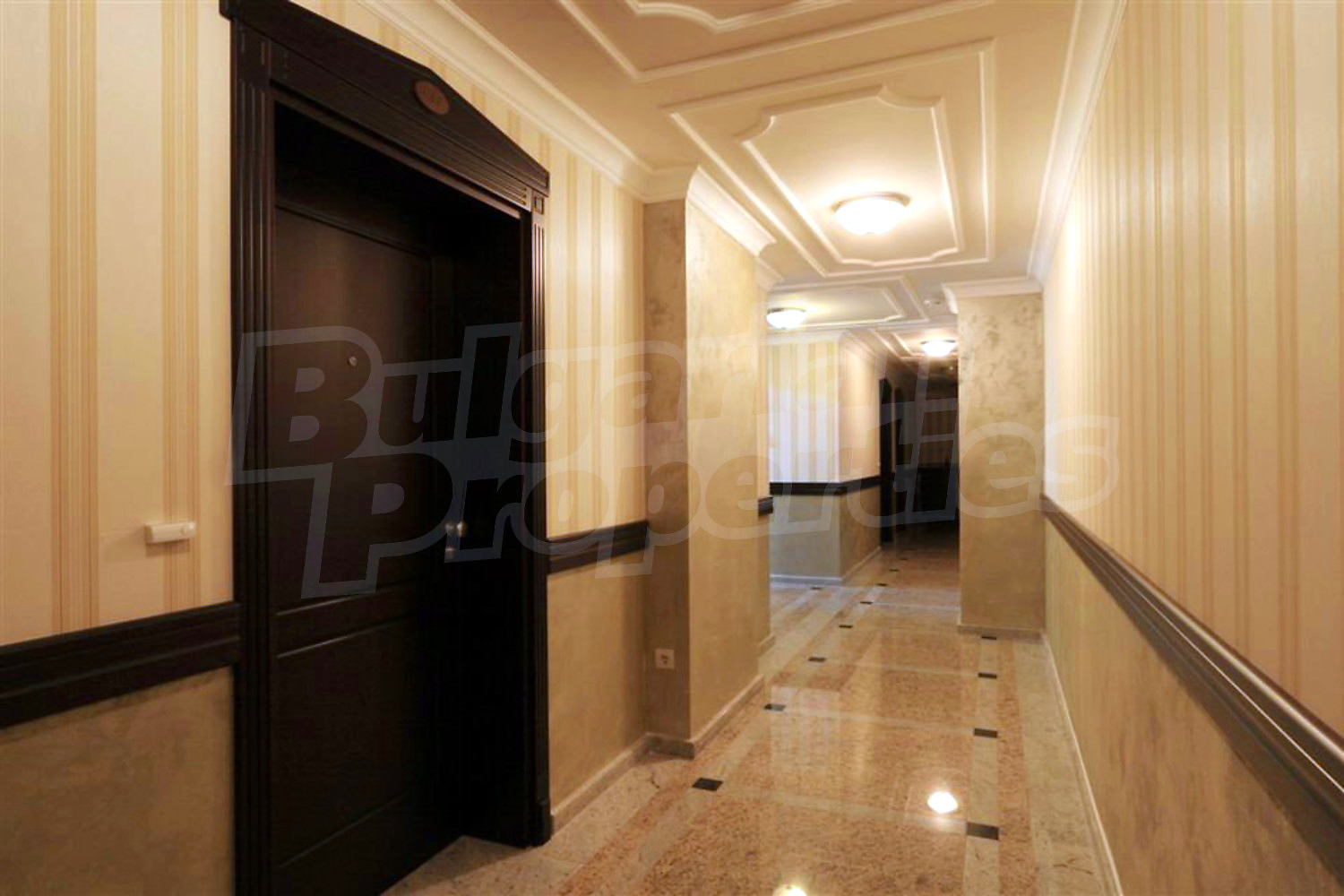 Gallery Picture 15