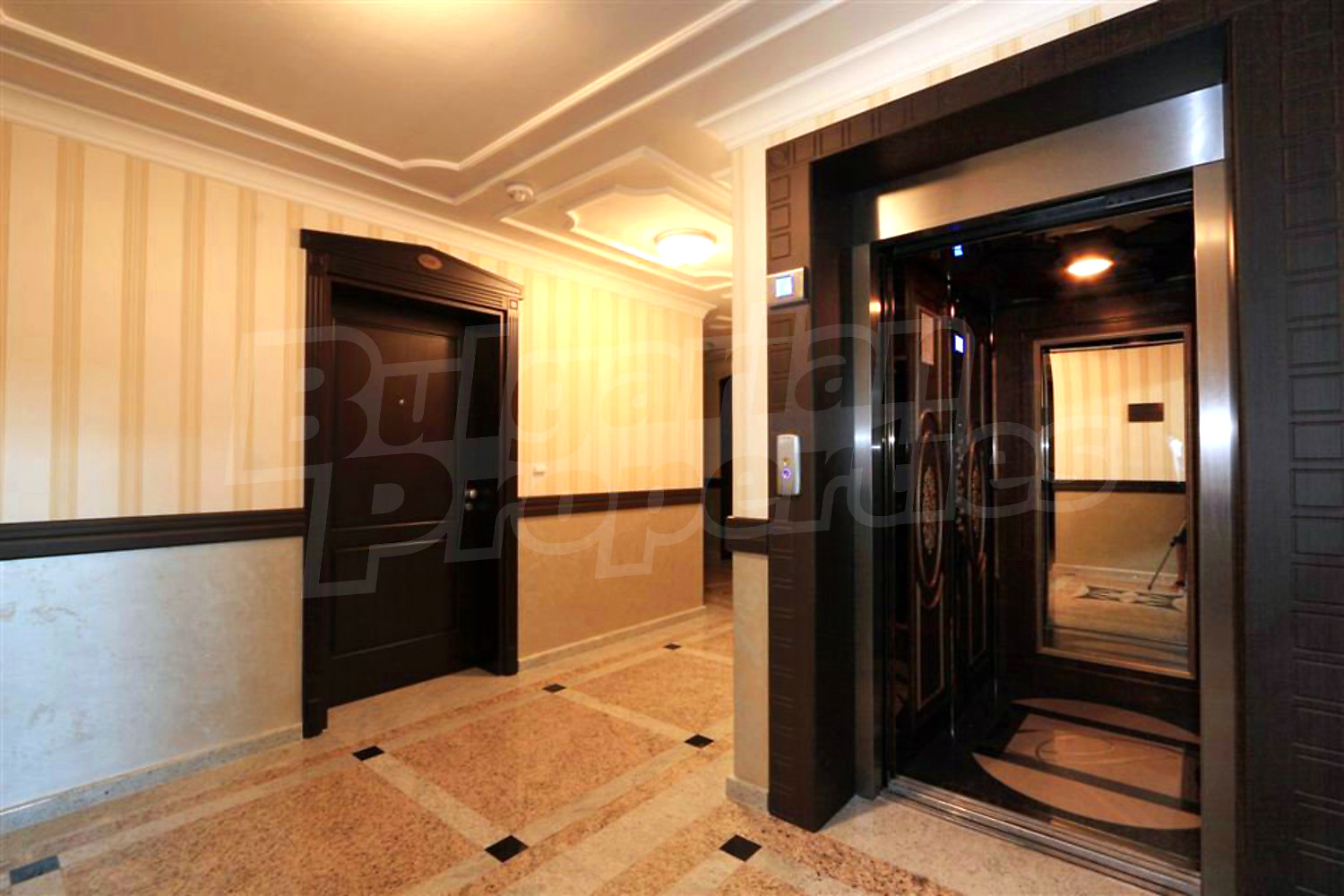 Gallery Picture 16