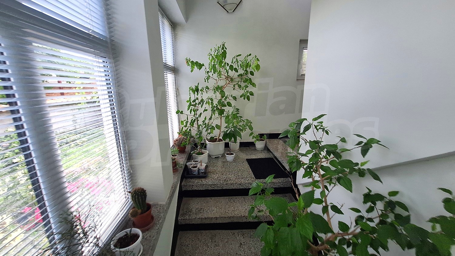 Gallery Picture 6