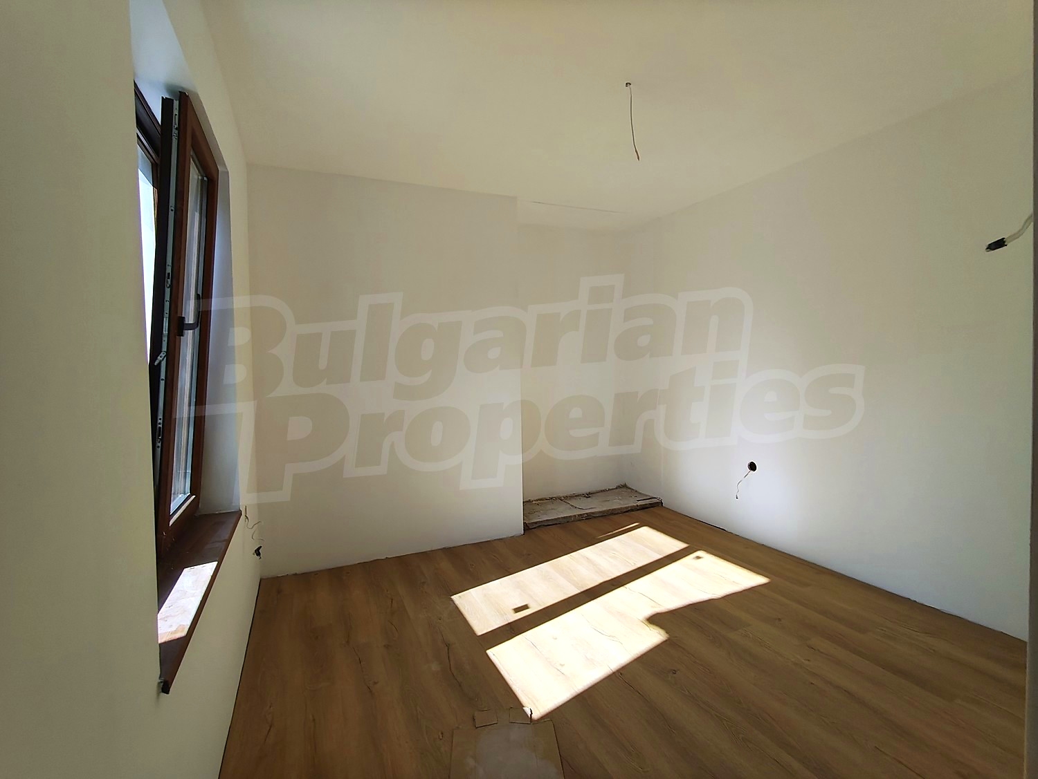 Gallery Picture 19
