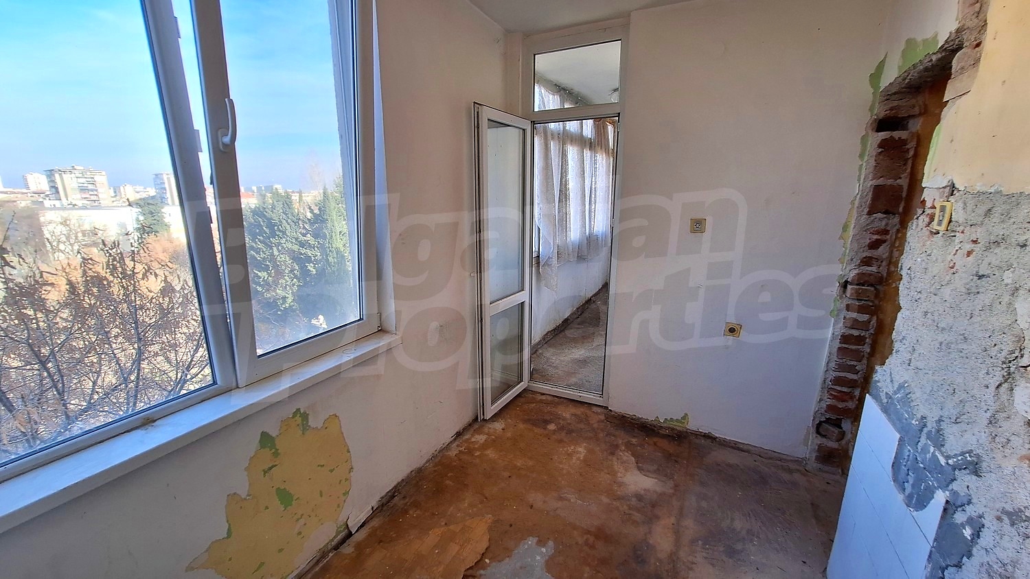 Gallery Picture 14