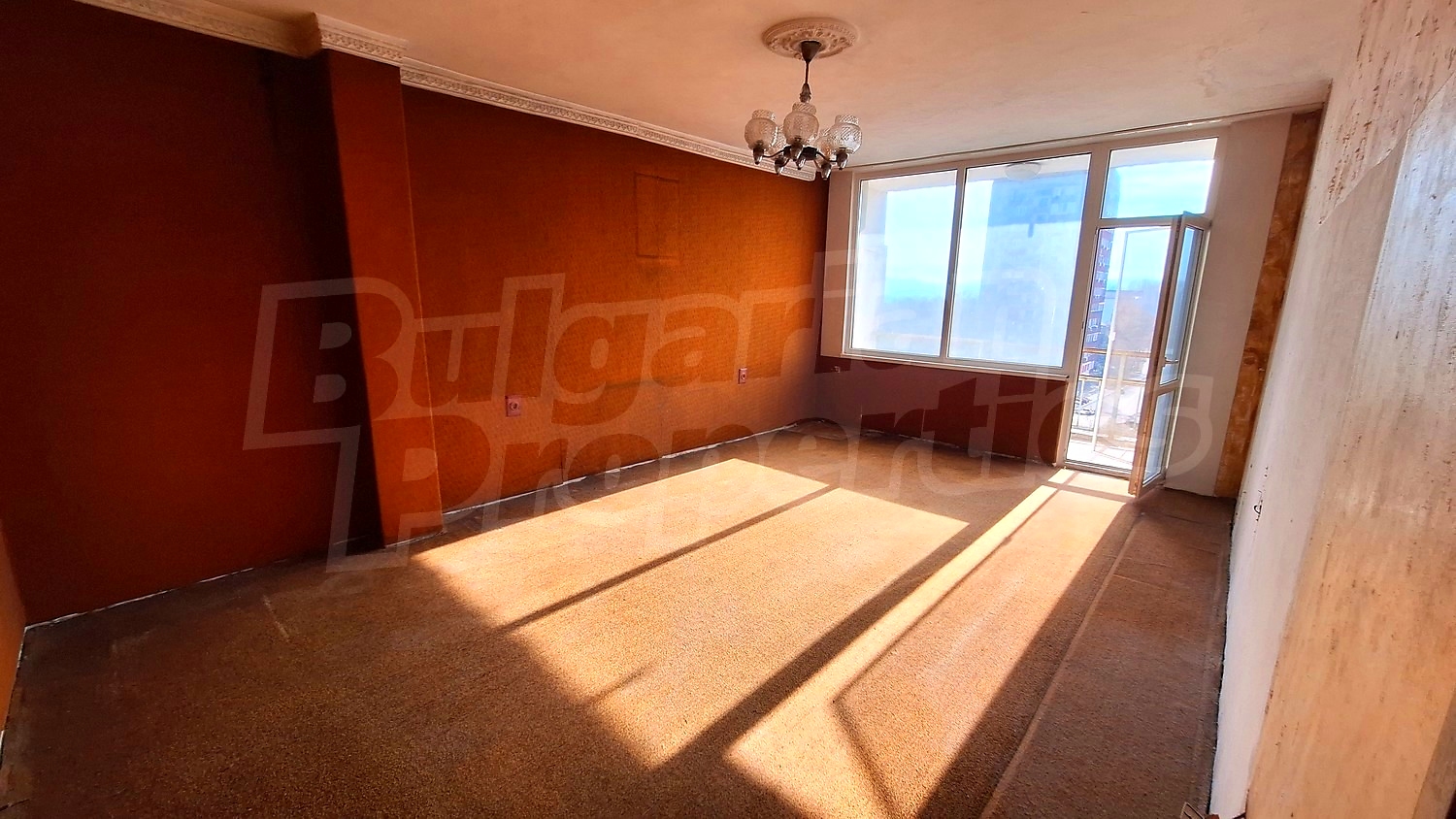 Gallery Picture 17
