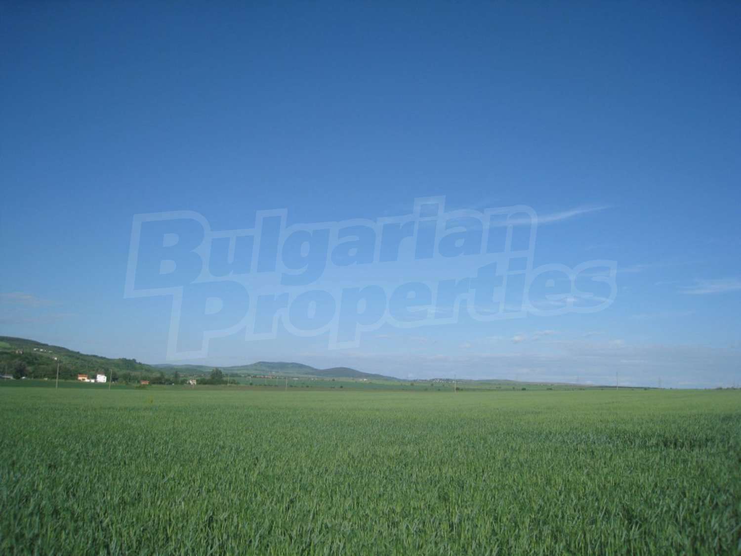 Gallery Picture 14