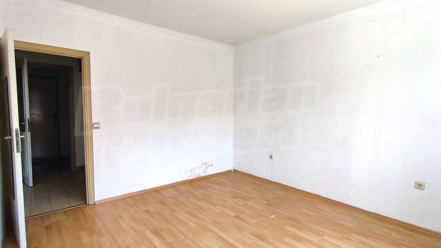 Gallery Picture 14