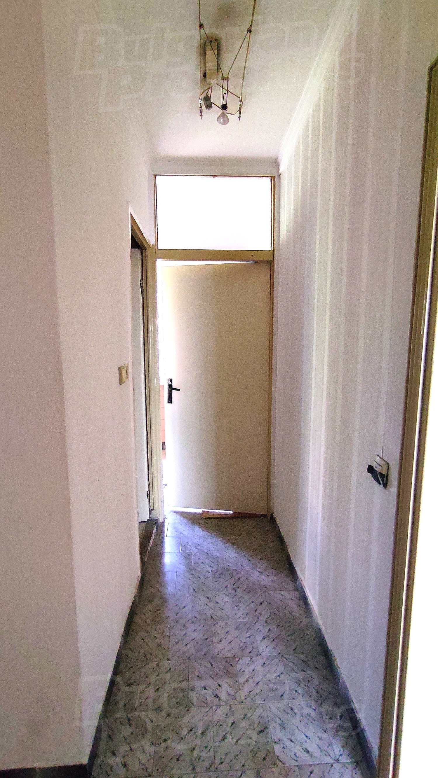 Gallery Picture 17