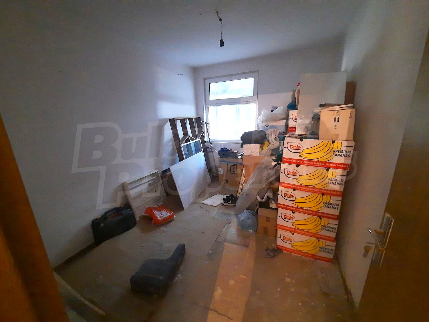 Gallery Picture 10