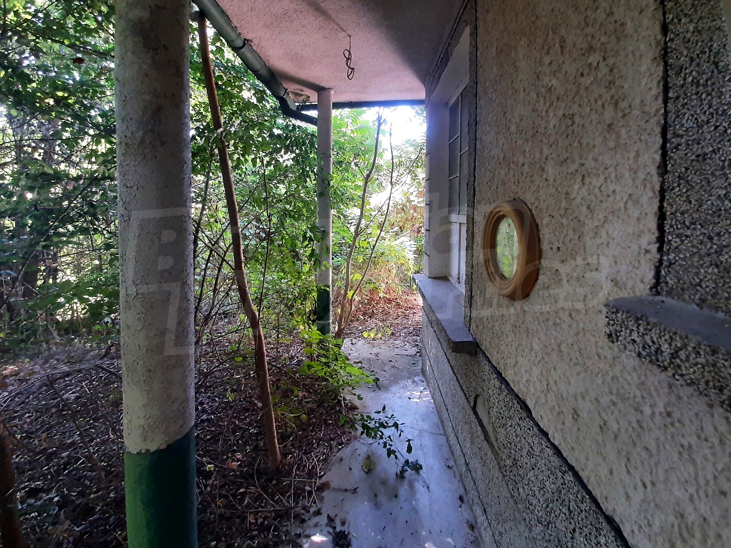 Gallery Picture 10