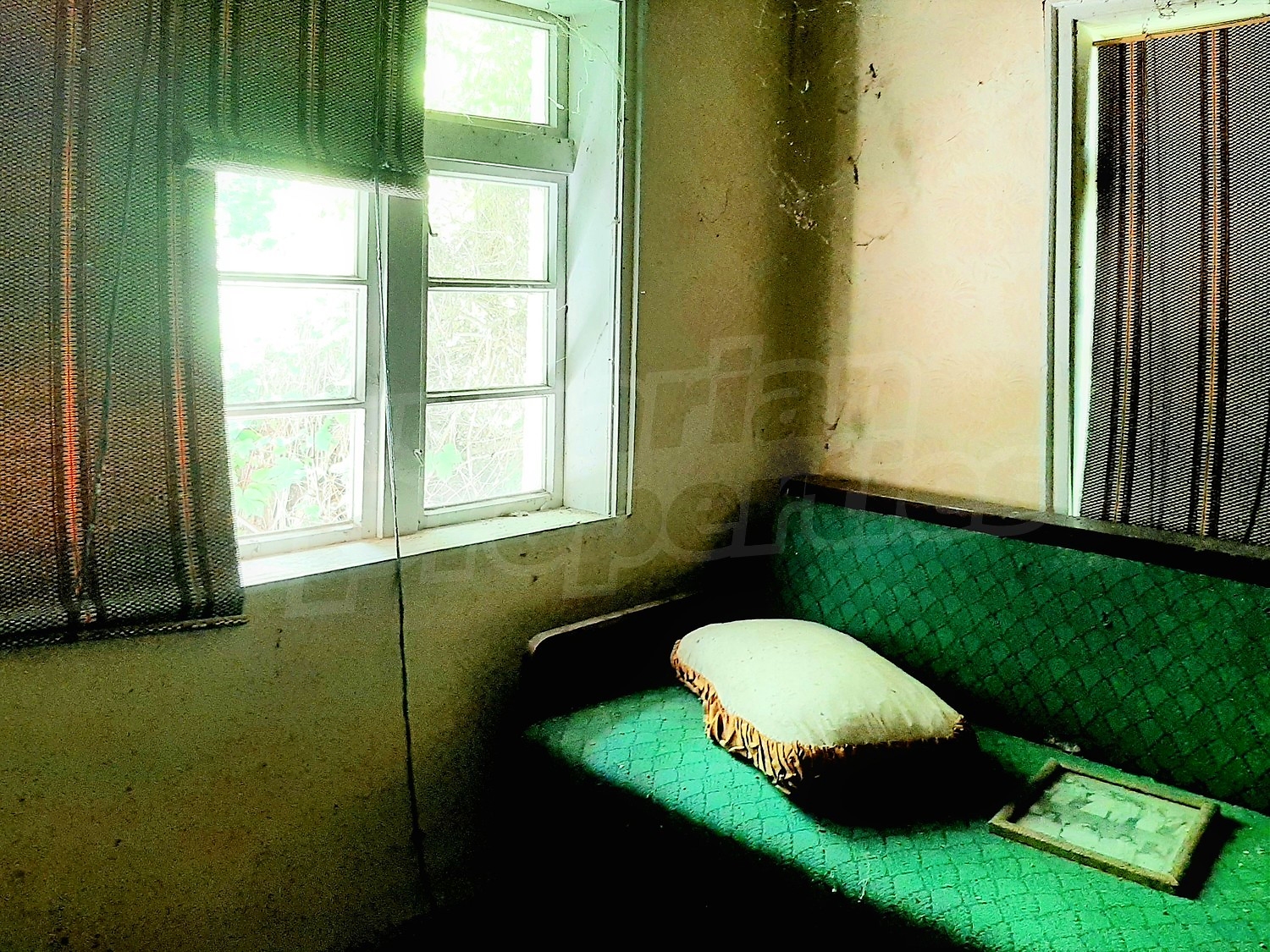Gallery Picture 11