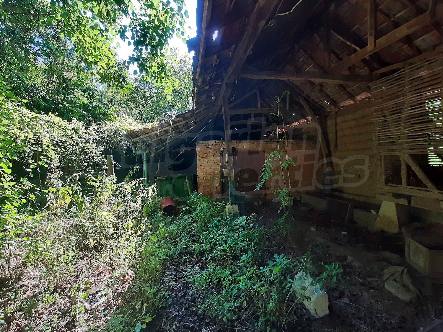 Gallery Picture 16