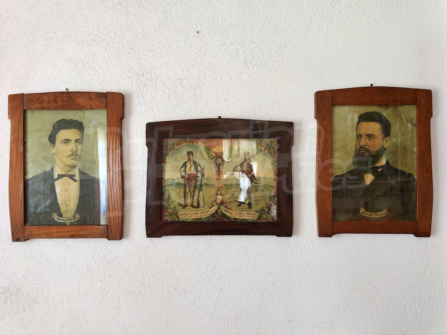 Gallery Picture 47