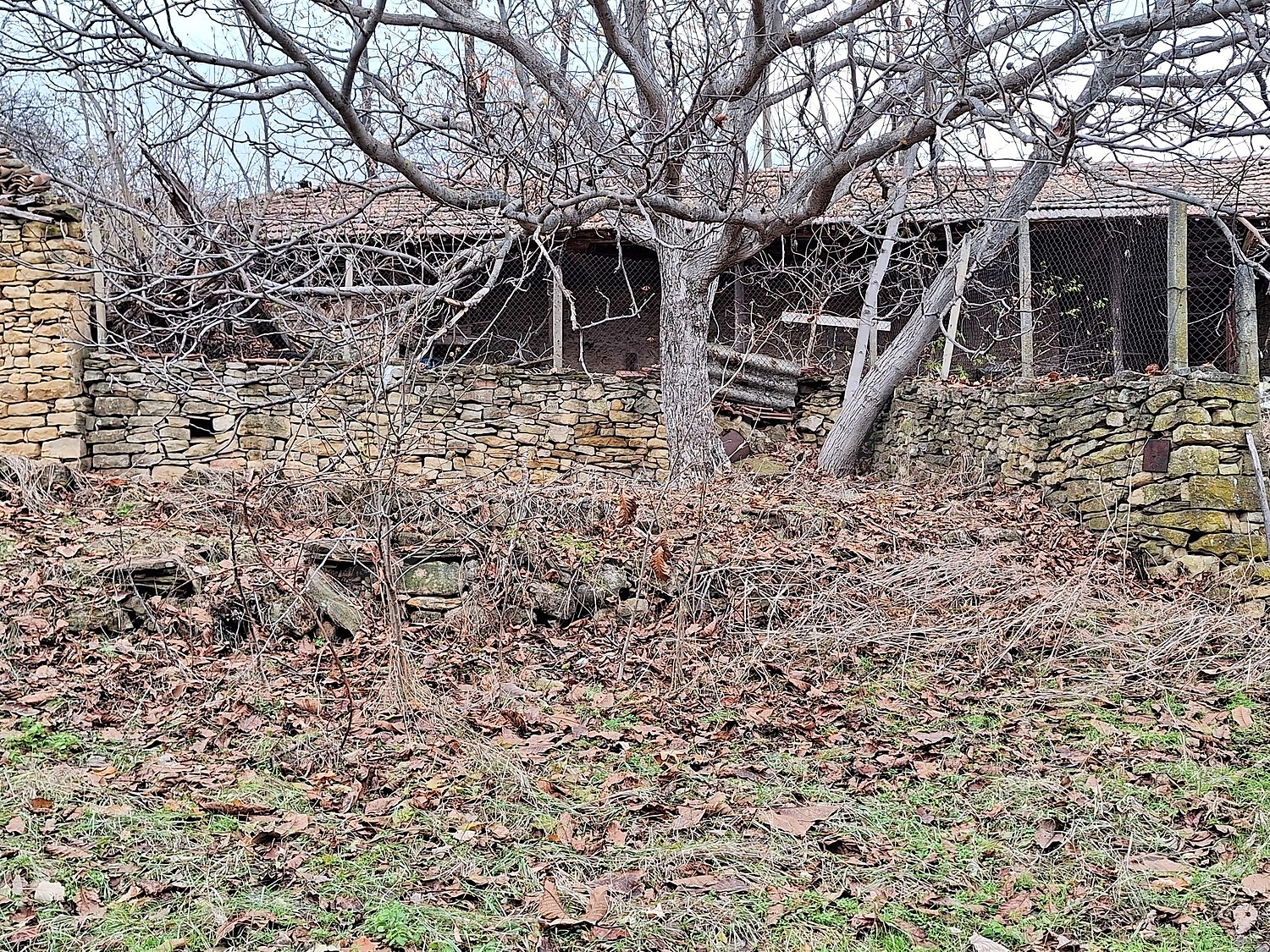 Gallery Picture 16