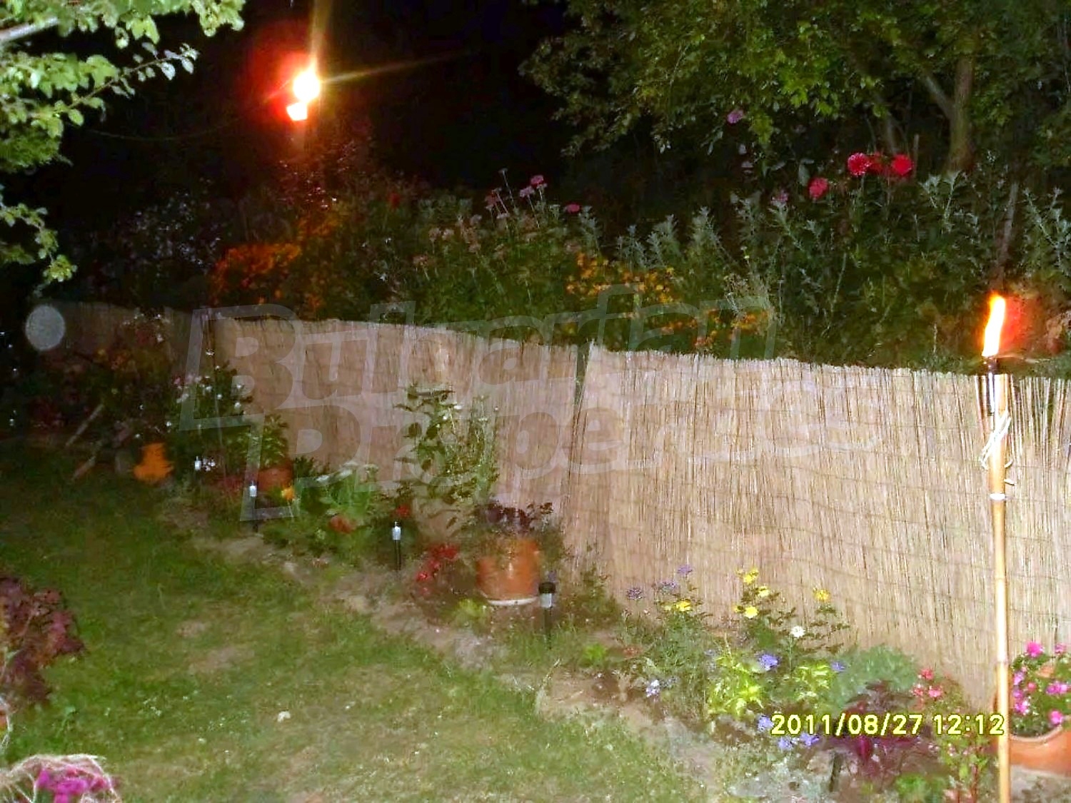 Gallery Picture 22