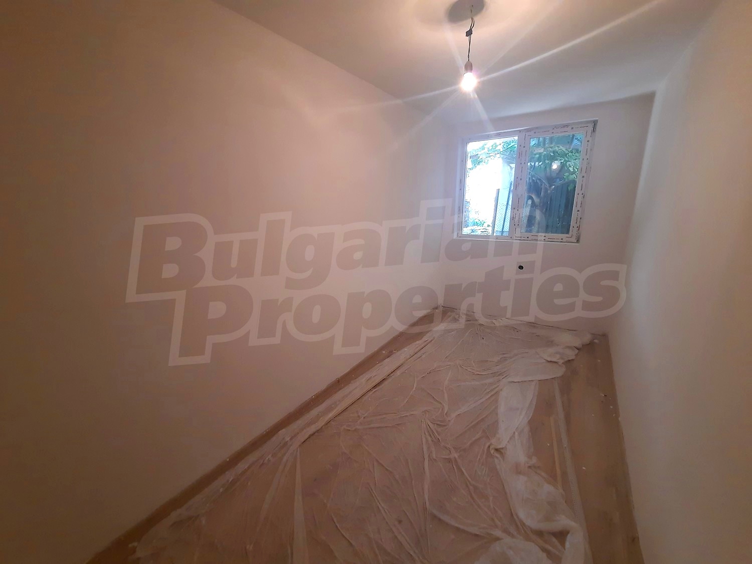 Gallery Picture 8