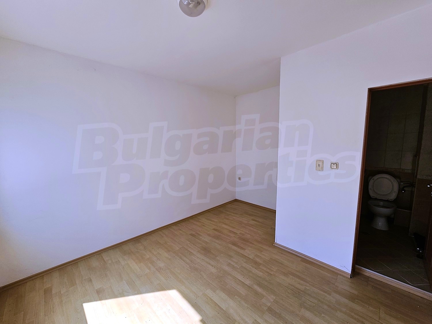 Gallery Picture 20