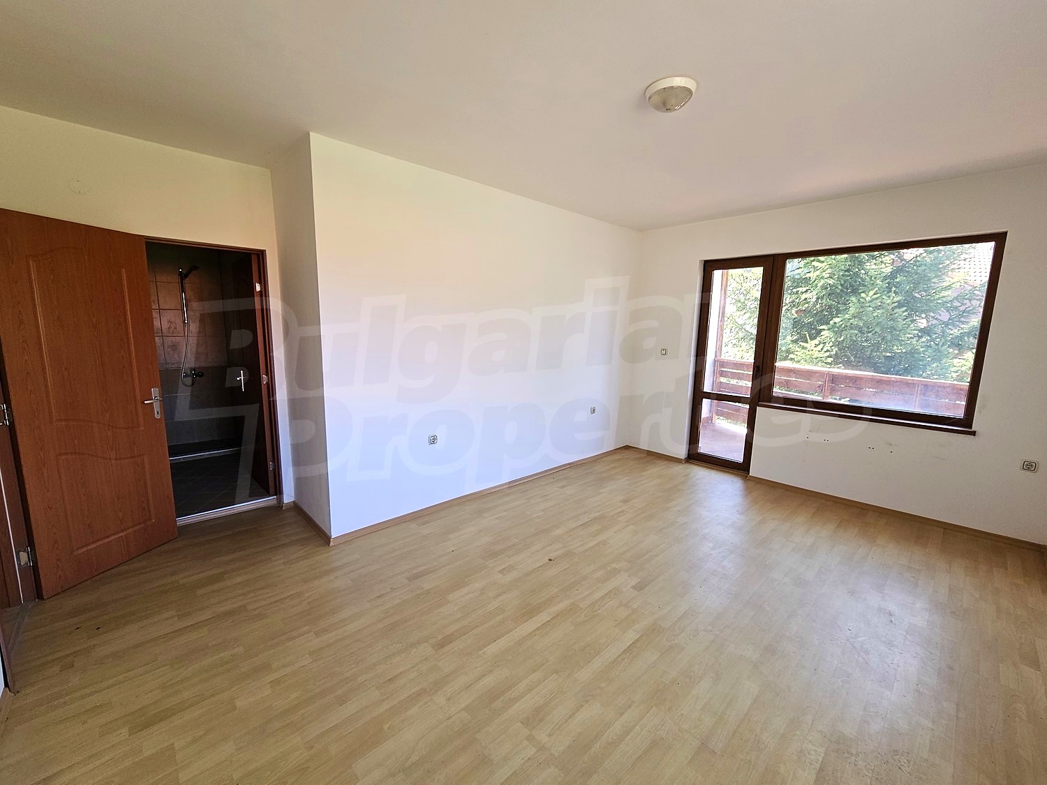 Gallery Picture 17