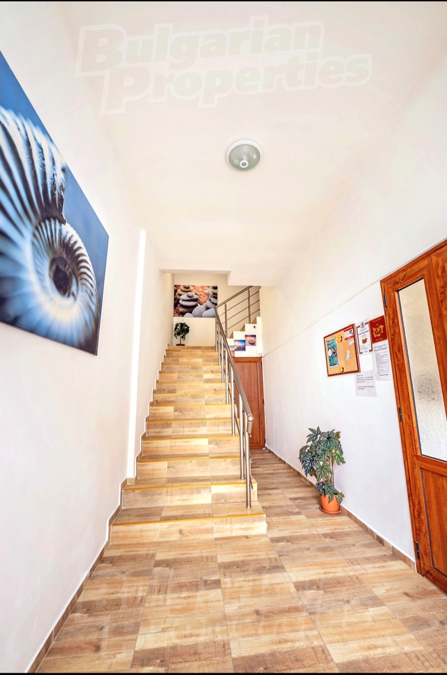 Gallery Picture 3