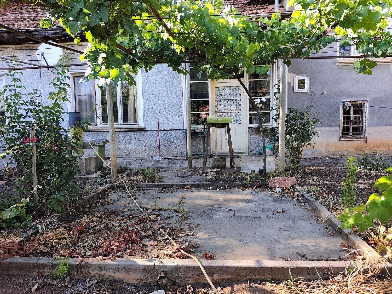 Gallery Picture 16
