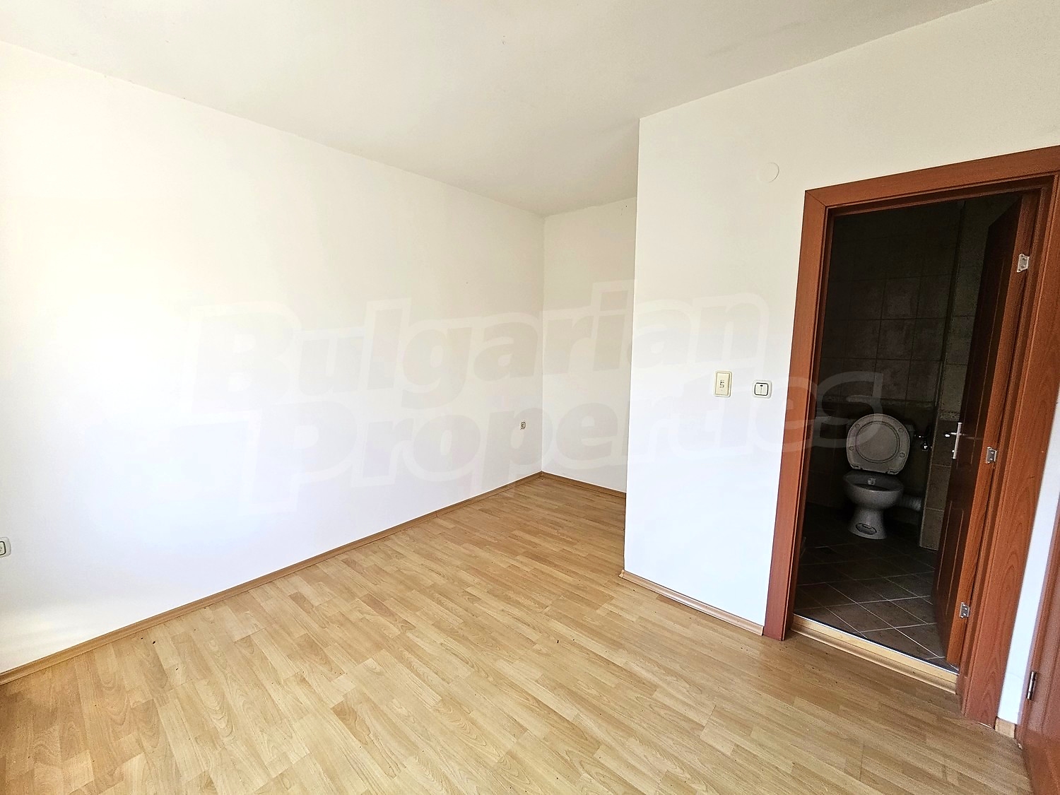 Gallery Picture 12