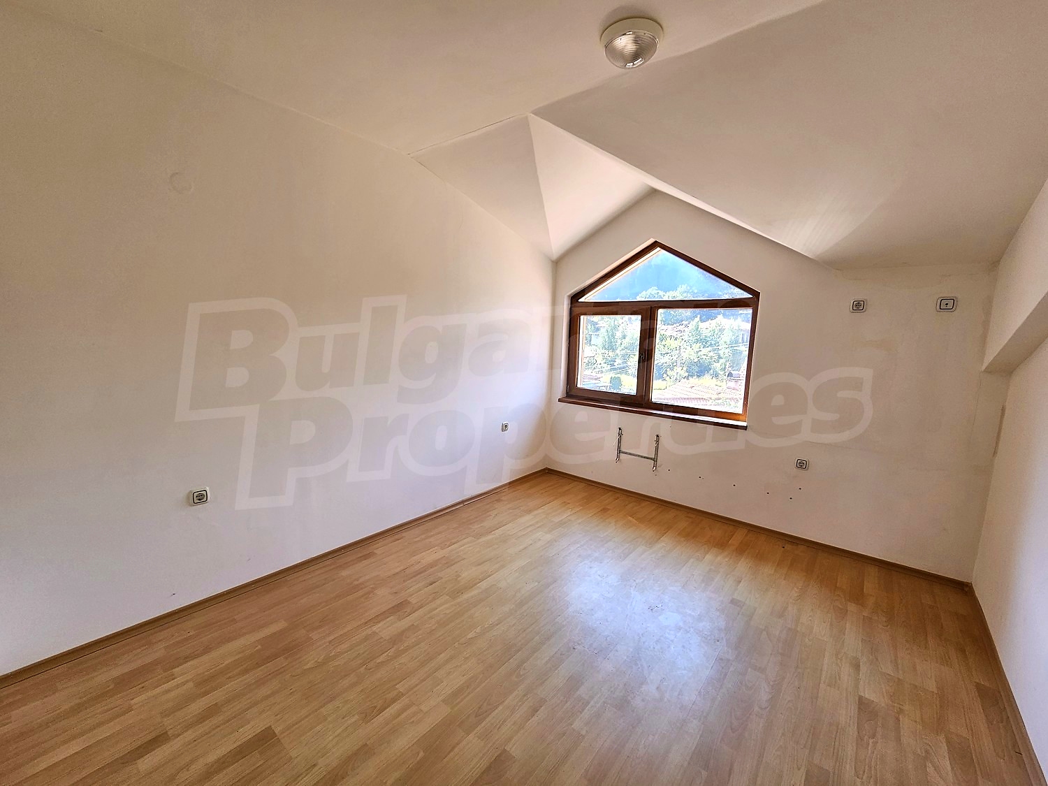 Gallery Picture 11