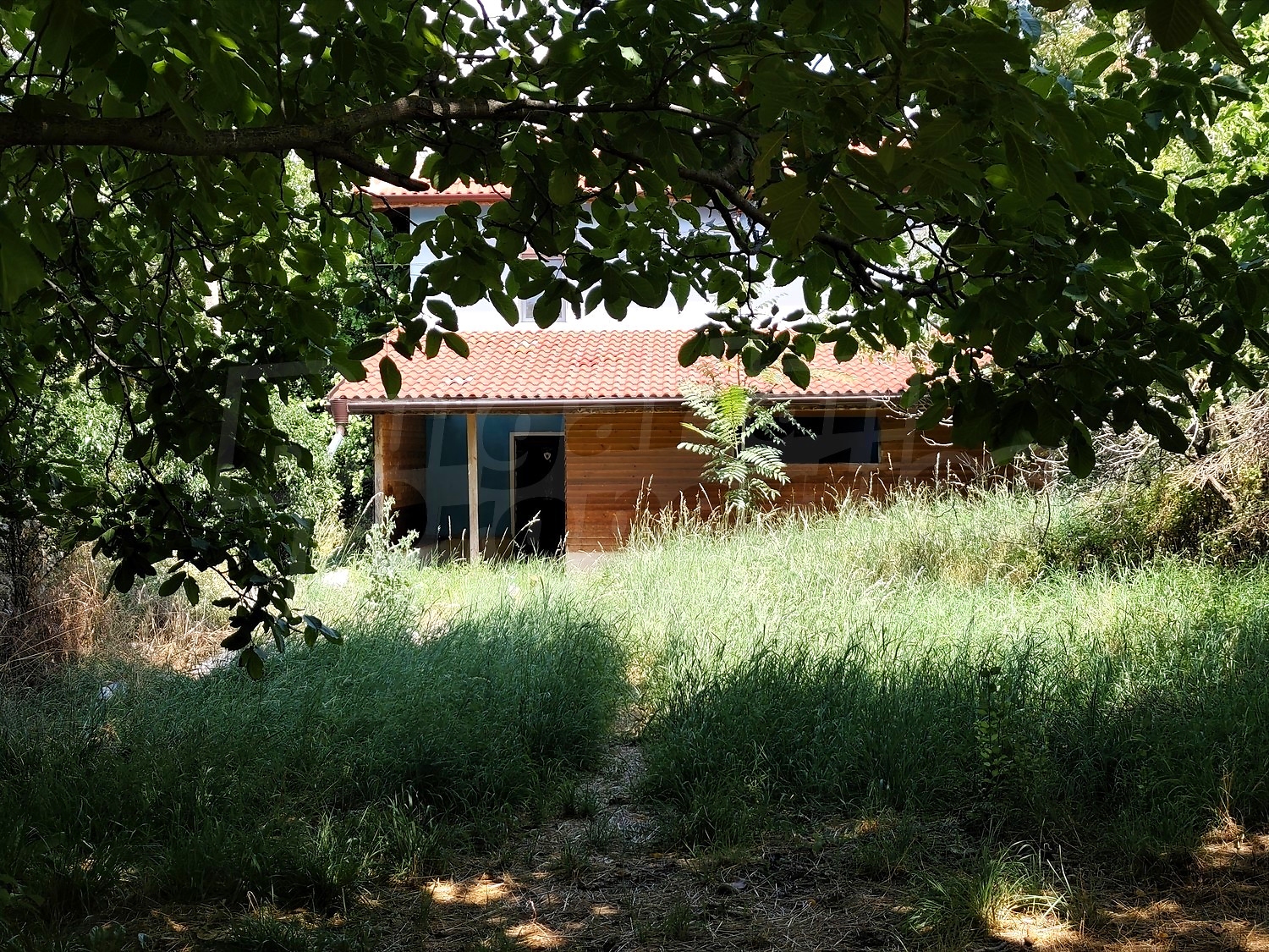 Gallery Picture 58