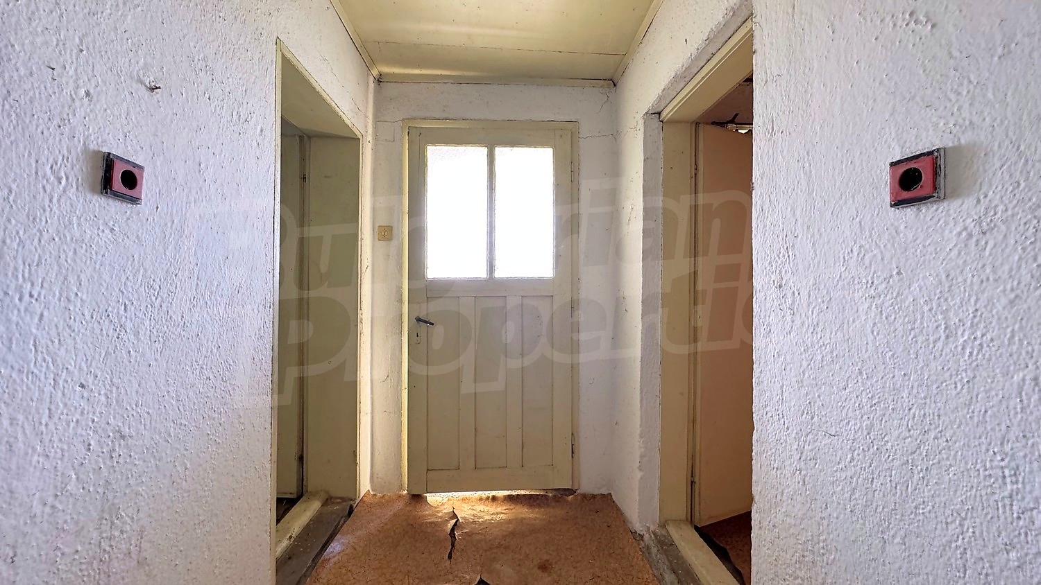 Gallery Picture 32