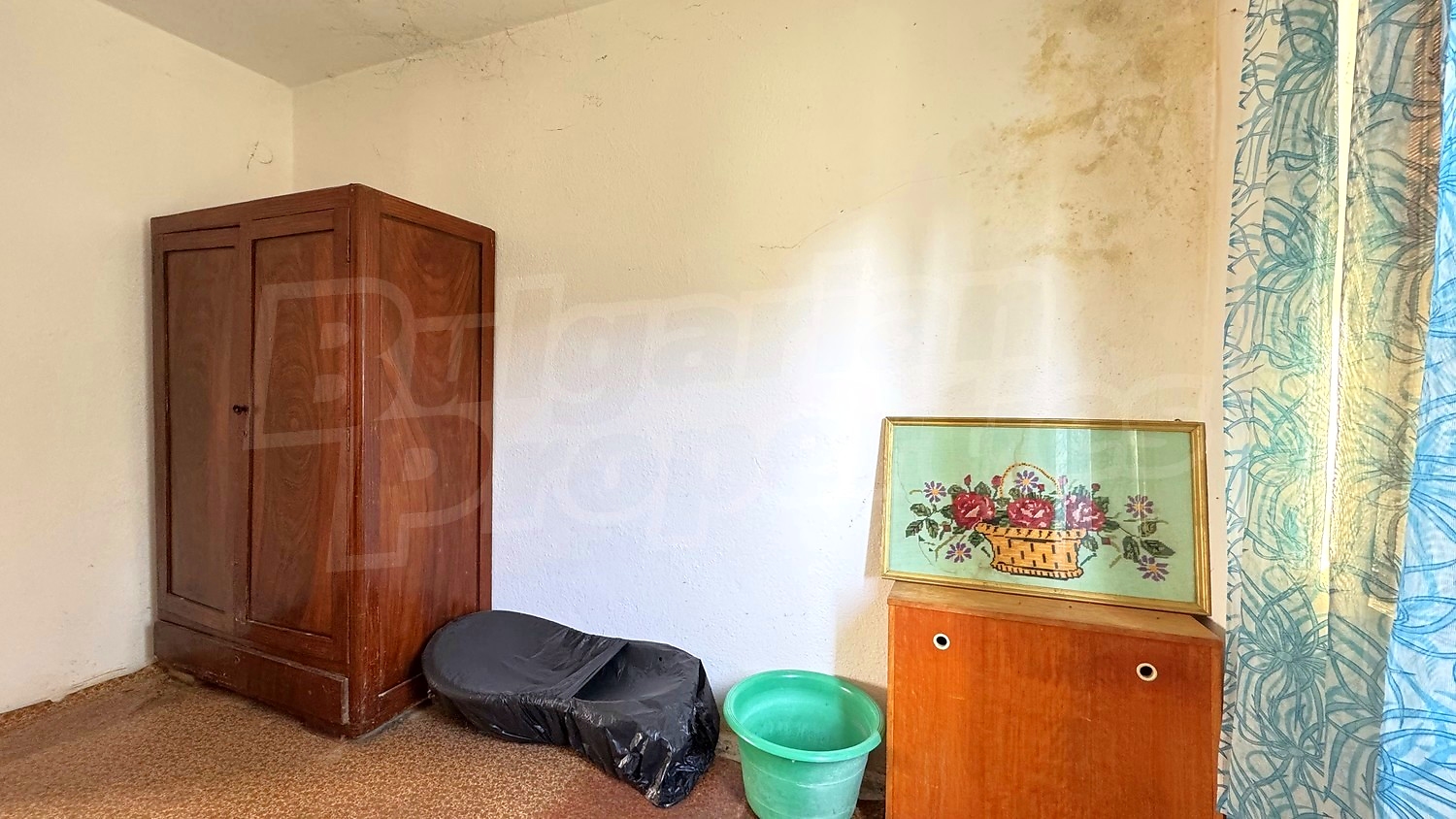 Gallery Picture 15