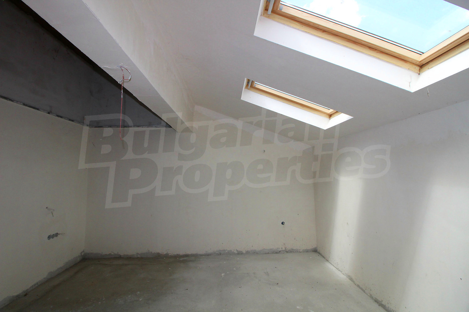 Gallery Picture 24
