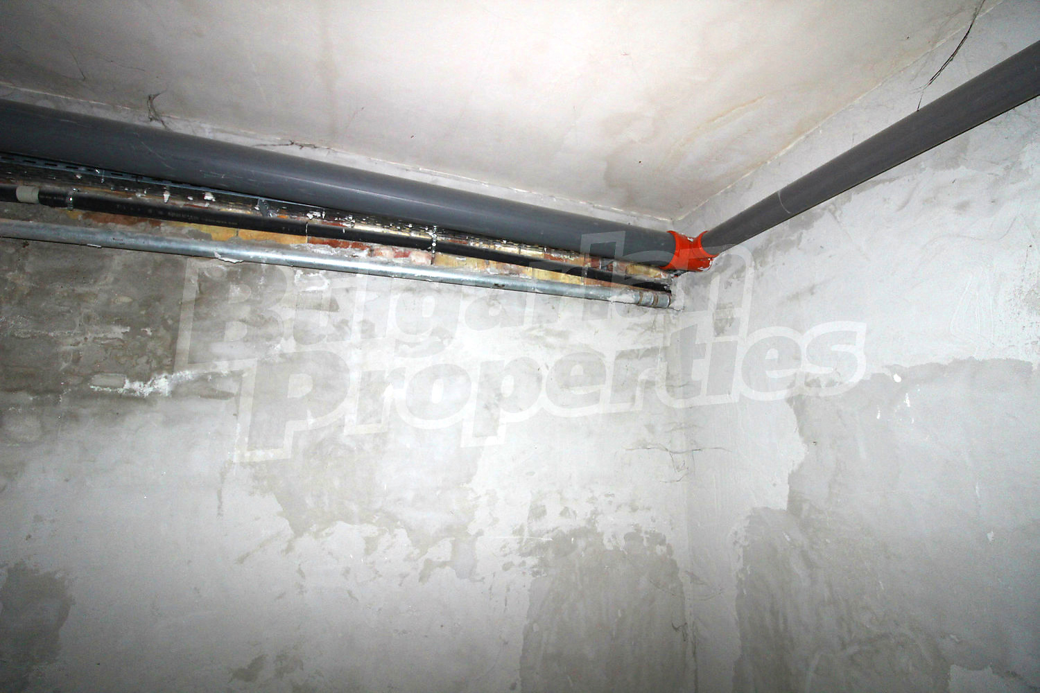 Gallery Picture 46