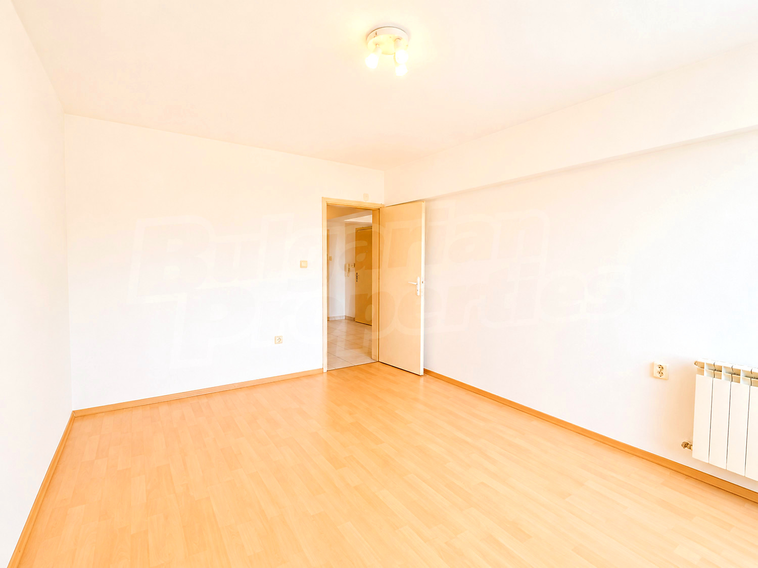 Gallery Picture 19